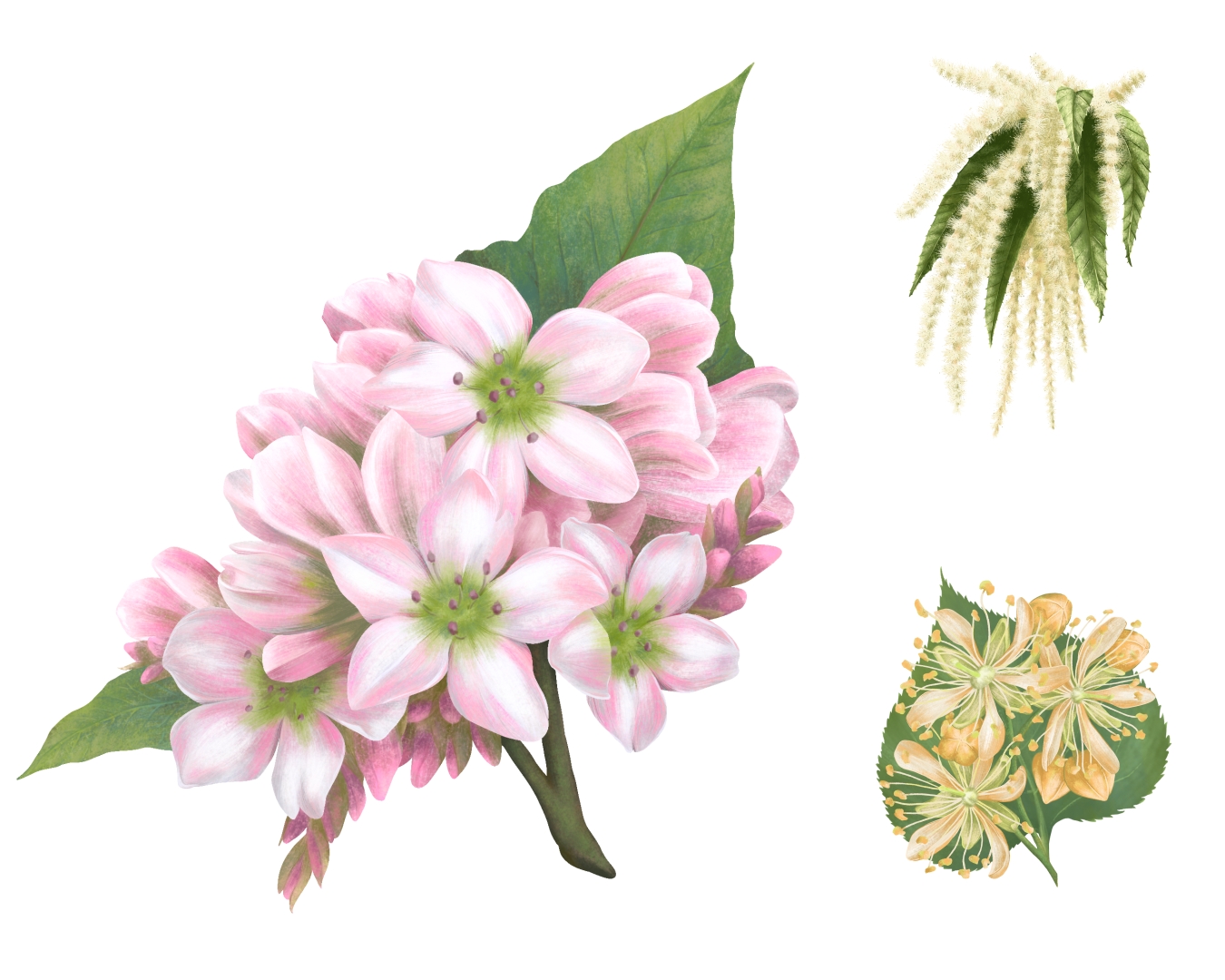 %d0%9a%d0%be%d0%bb%d0%bb%d0%b0%d0%b6 2