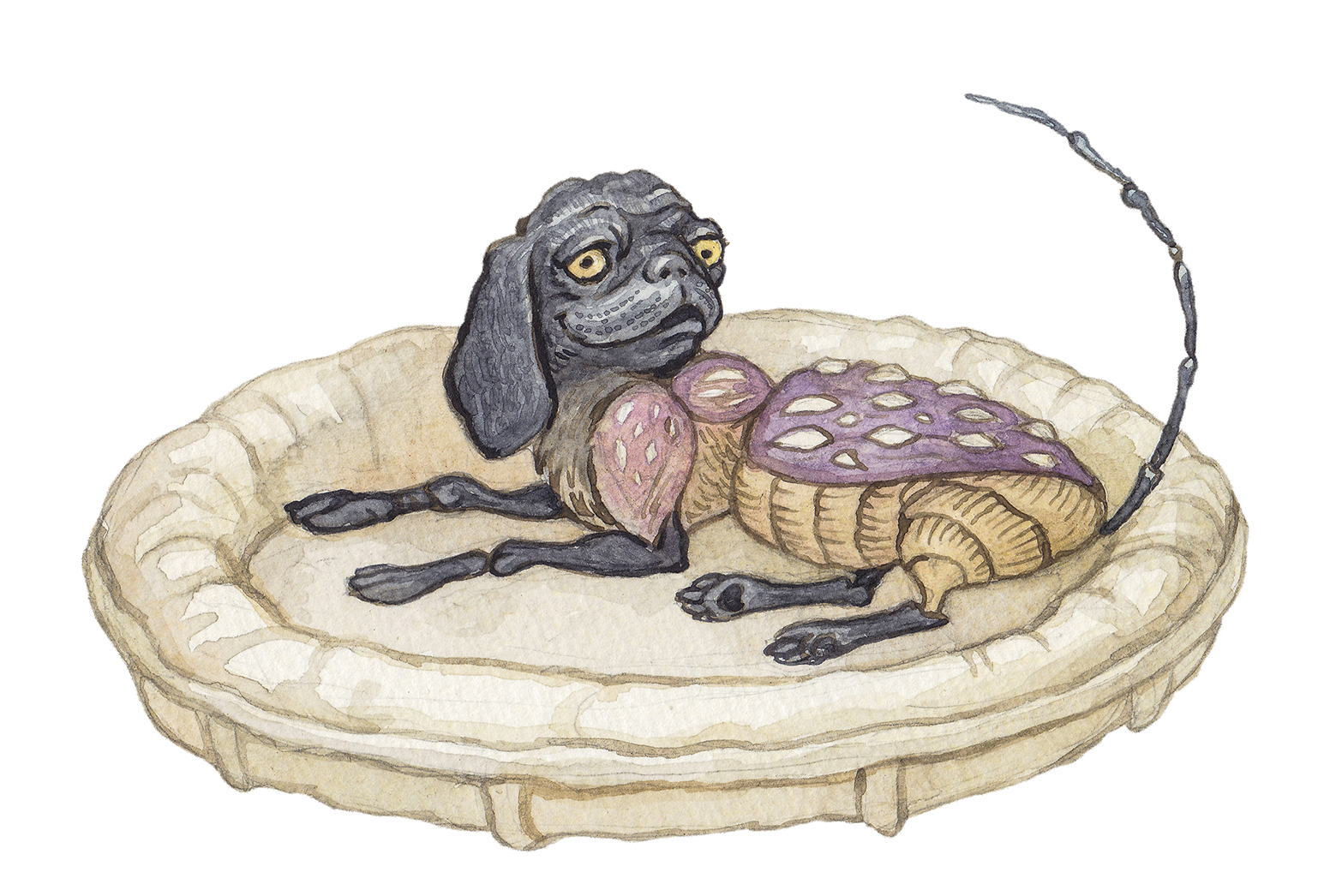 1  %d0%a1%d0%be%d0%b1%d0%b0%d0%ba%d0%be %d0%b6%d1%83%d0%ba %d0%a2%d1%80%d0%b8%d0%bf%d1%81%d0%b8