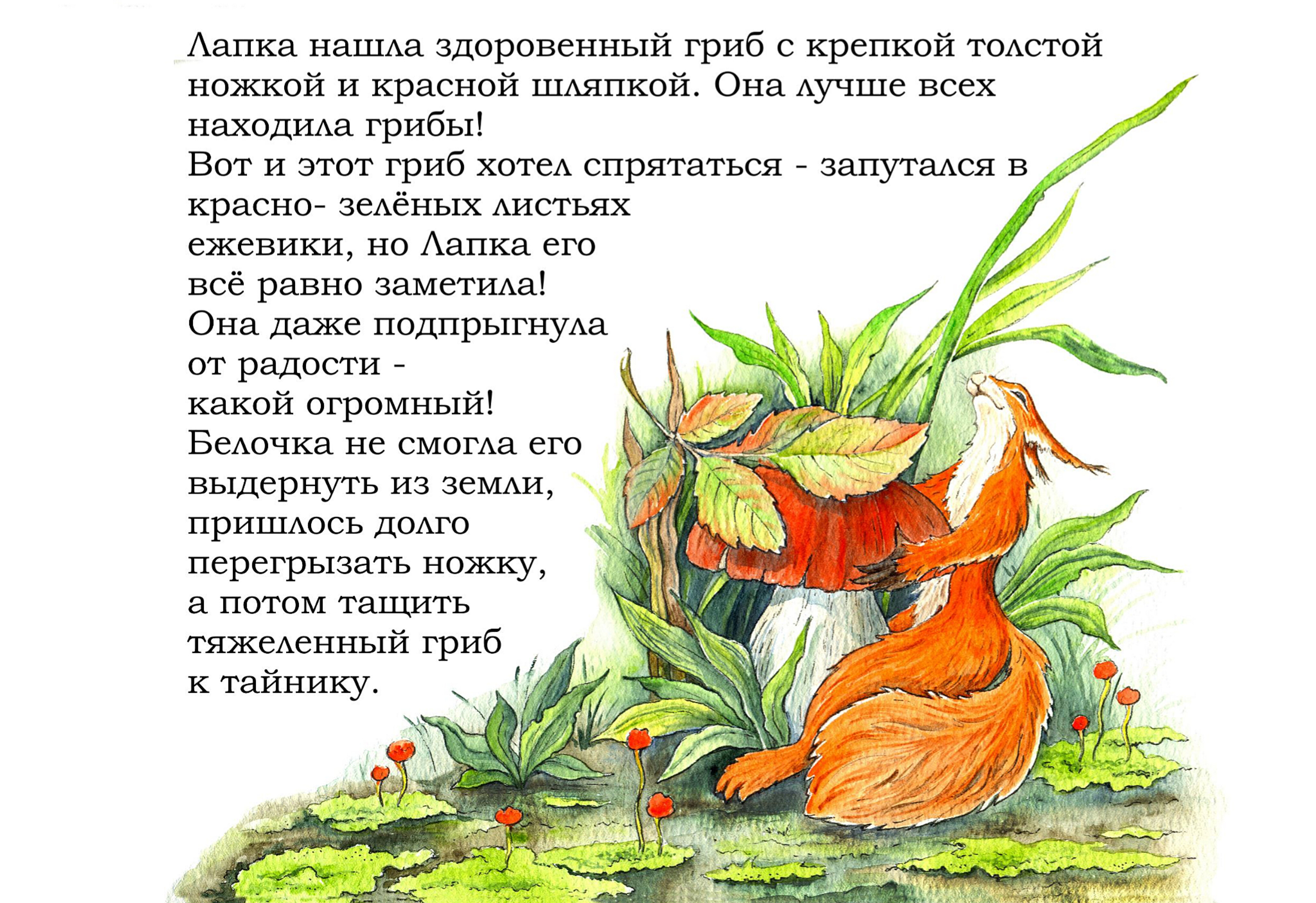 Inshot 20260302 105948089