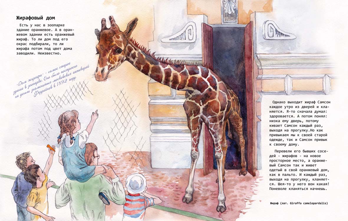 %d0%b6%d0%b8%d1%80%d0%b0%d1%842