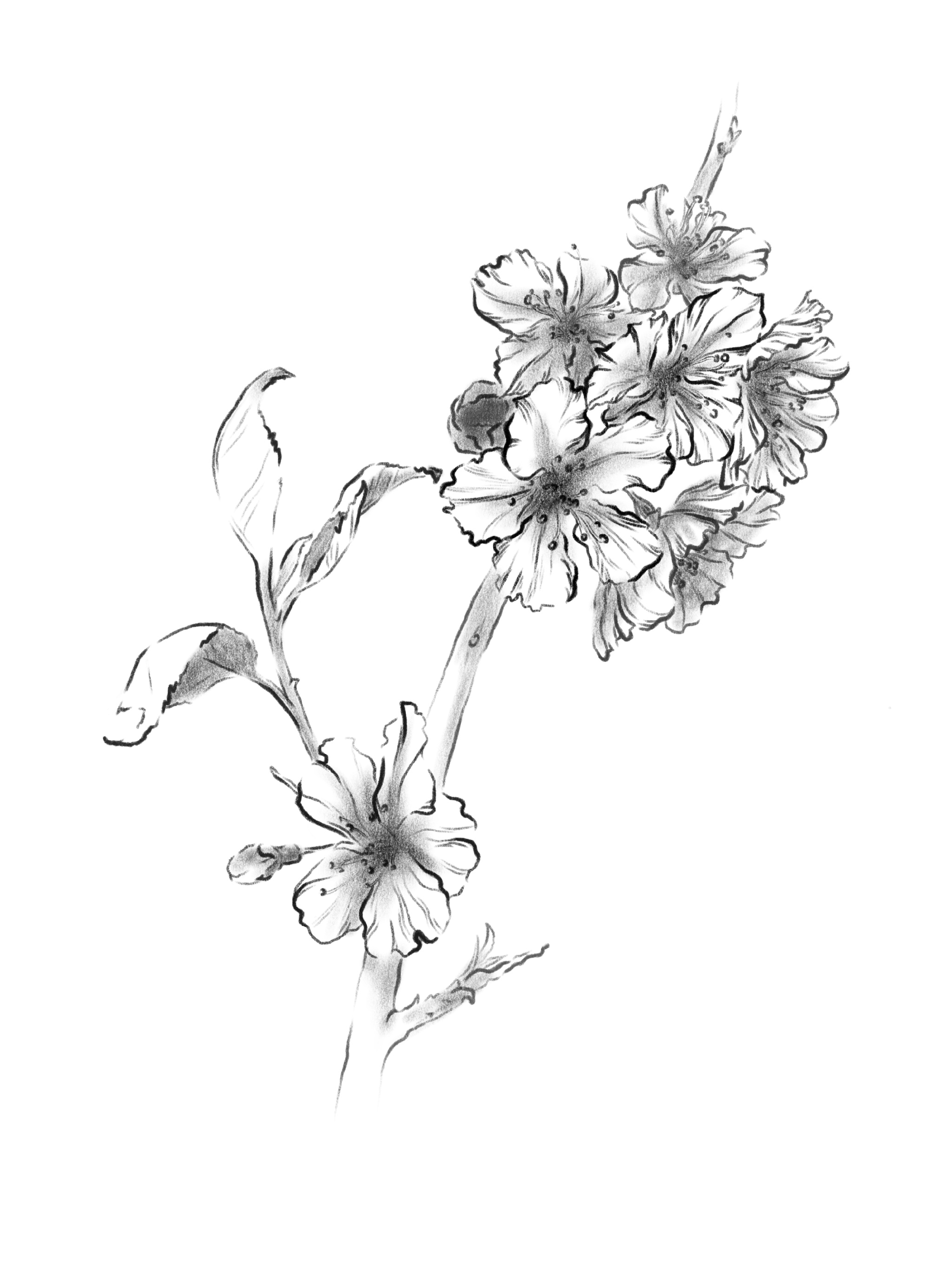 %d0%a6%d0%b2%d0%b5%d1%82%d0%be%d0%ba %d1%82%d0%be%d0%bd