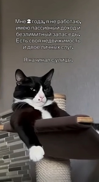 %d0%bc%d0%b5%d0%bd