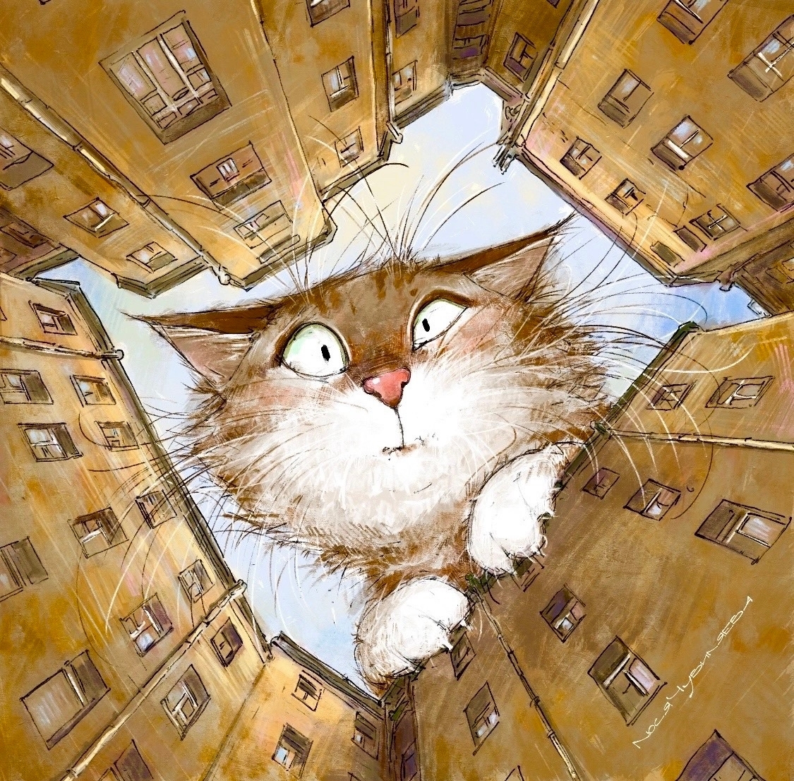 11