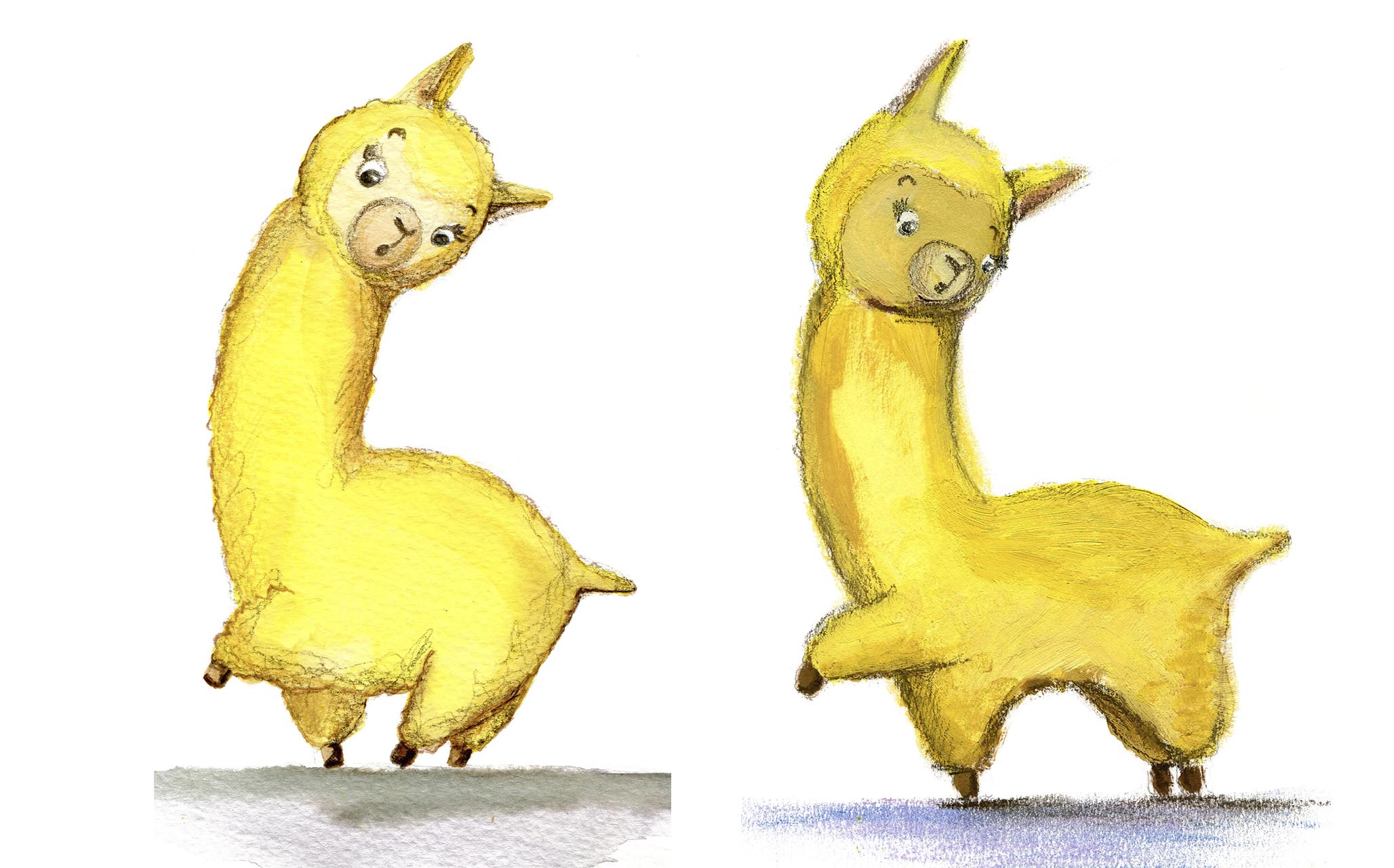  lamas