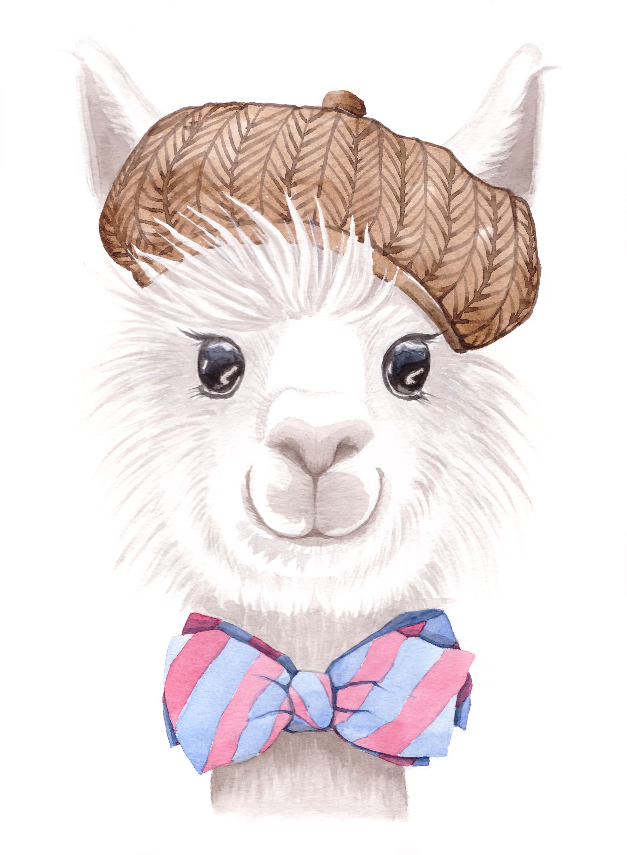 Alpaca1