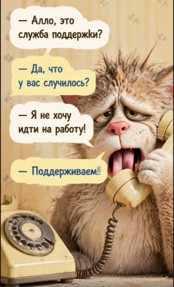 Img 20260807 172640