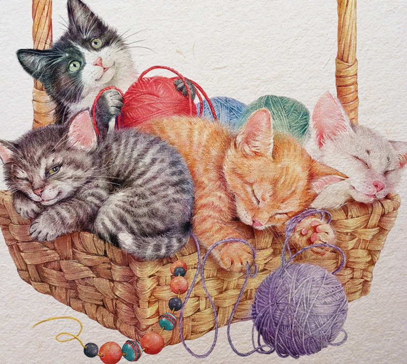 Cats