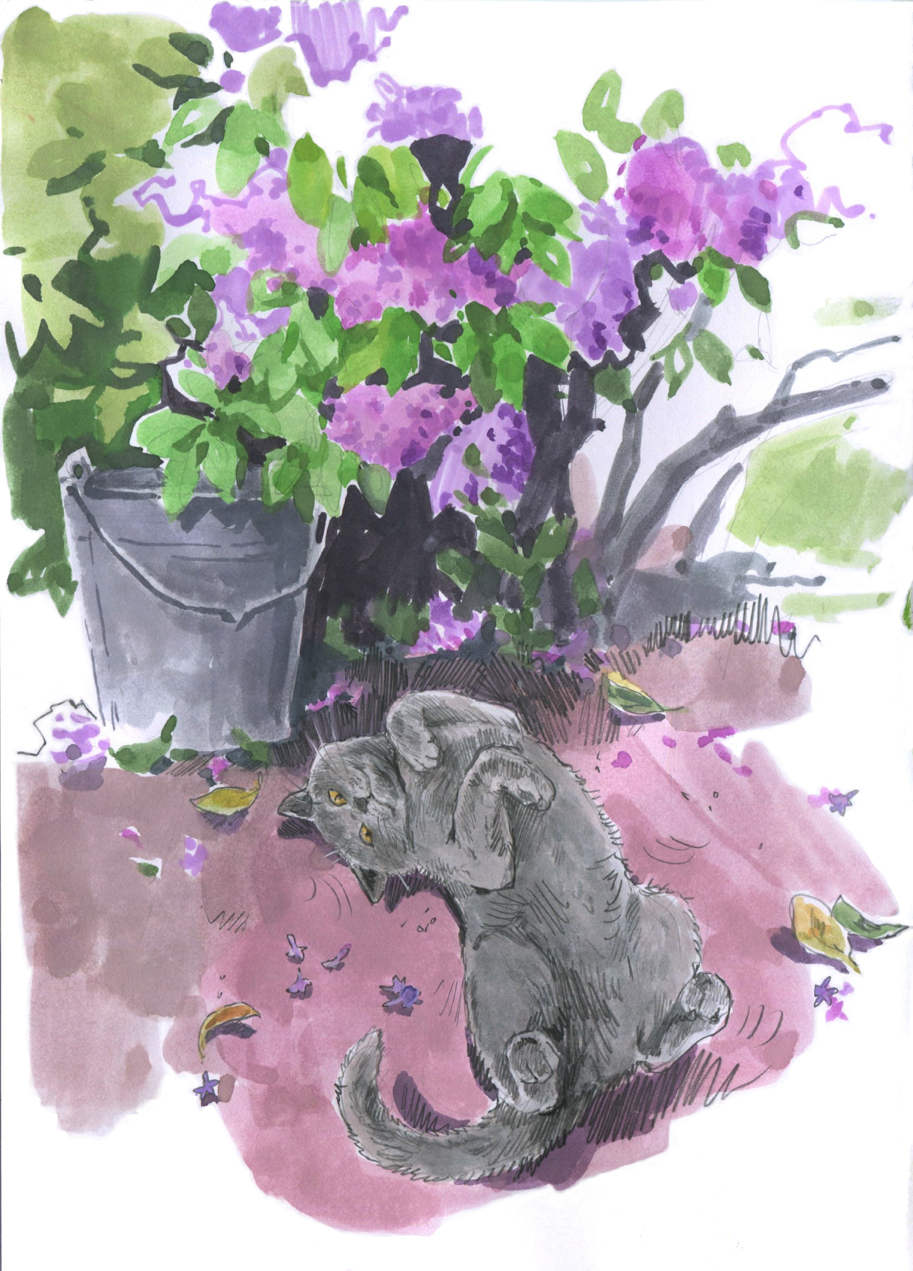 Image 11 08 20 06 29 7