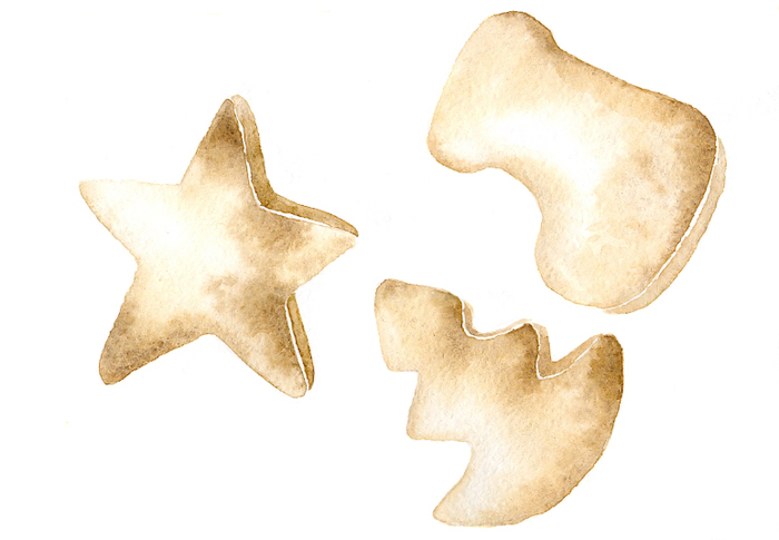 Main cookies200
