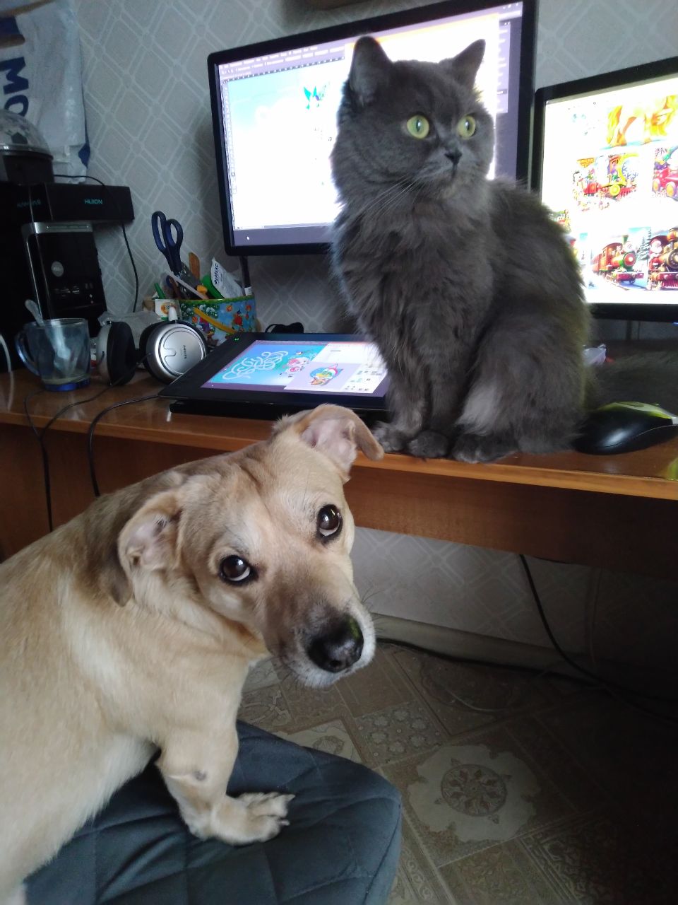 Photo 2025 12 14 21 43 57