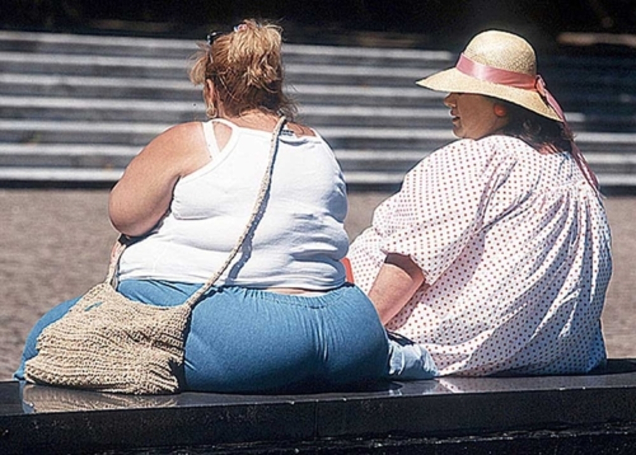 Fat