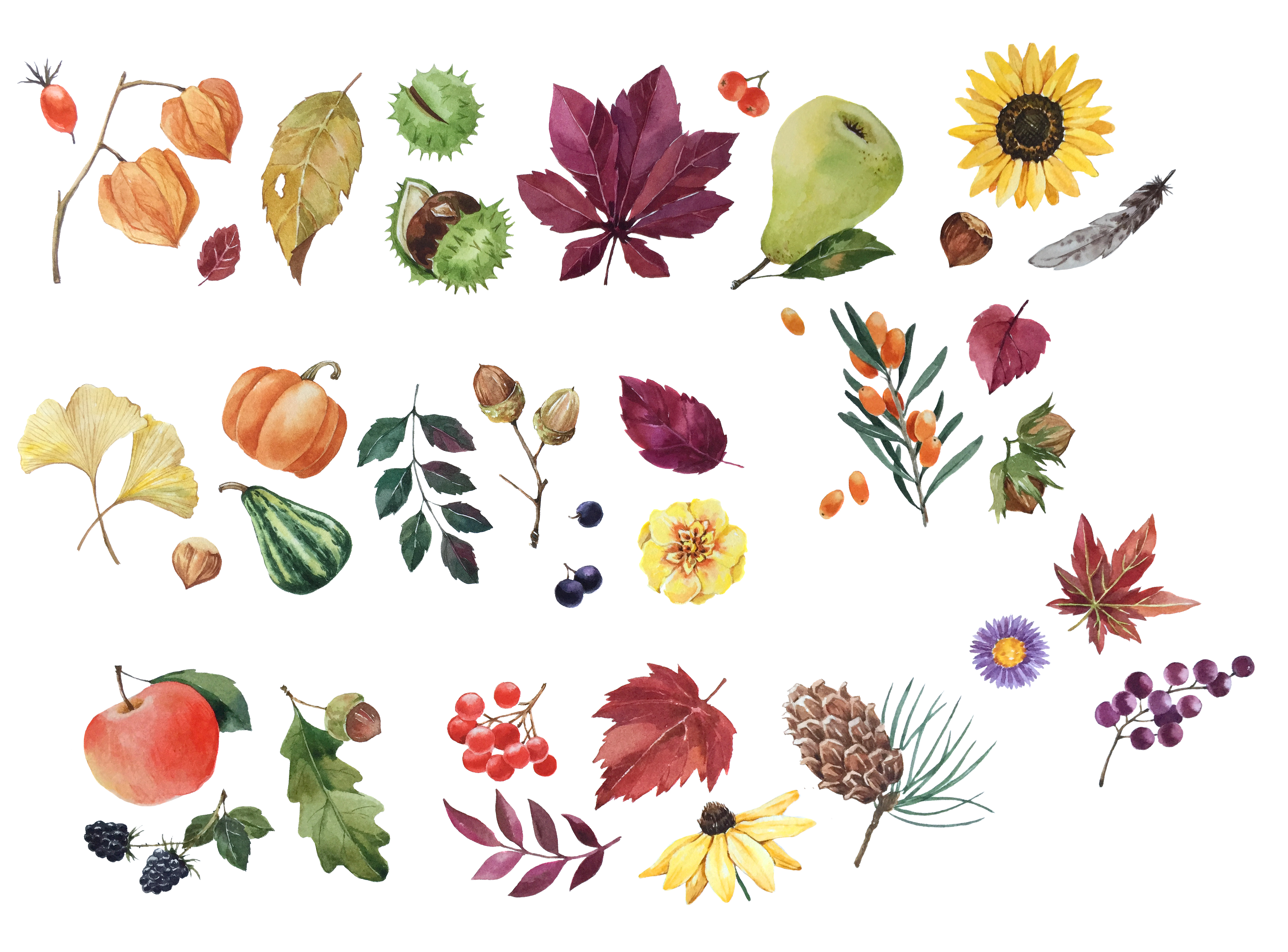 Autumn