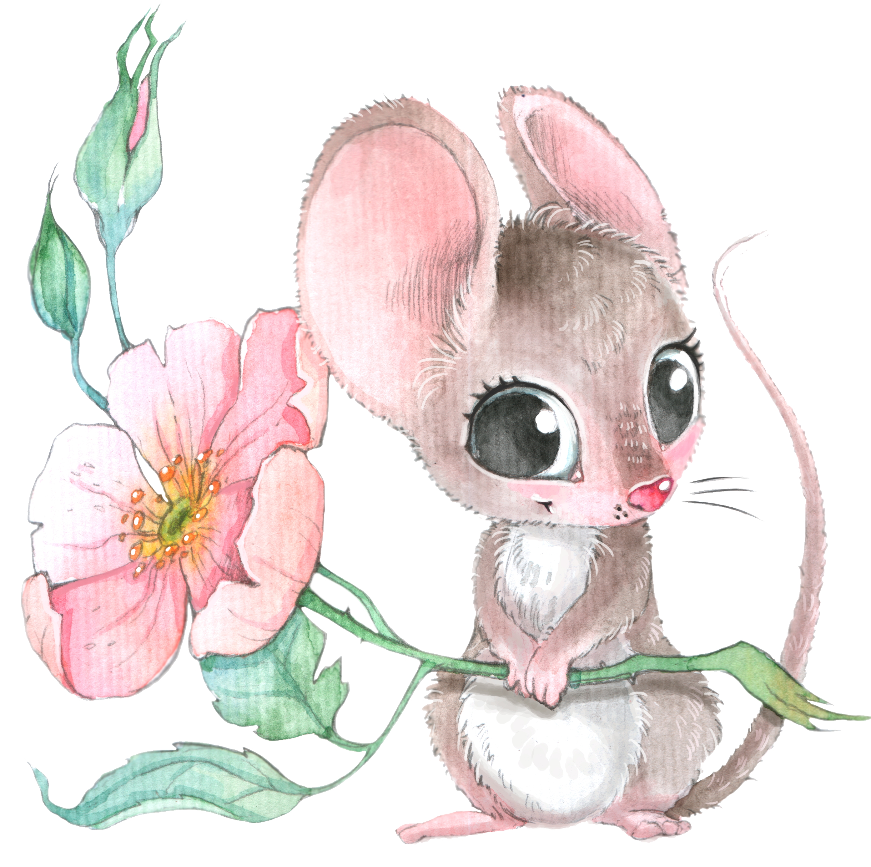 Mice 0005 2