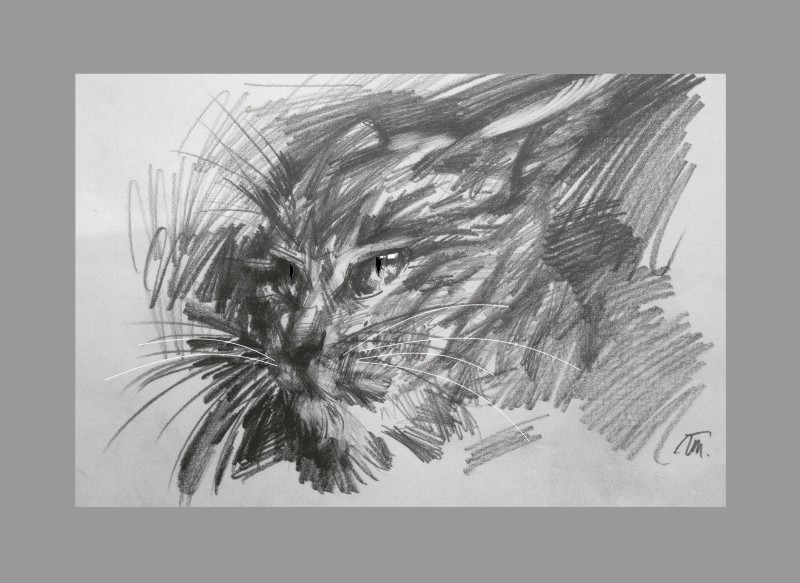 %d0%9a%d0%be%d1%82%d0%b8%d0%ba %d1%80%d0%b8%d1%81%d1%83%d0%bd%d0%be%d0%ba 1 2