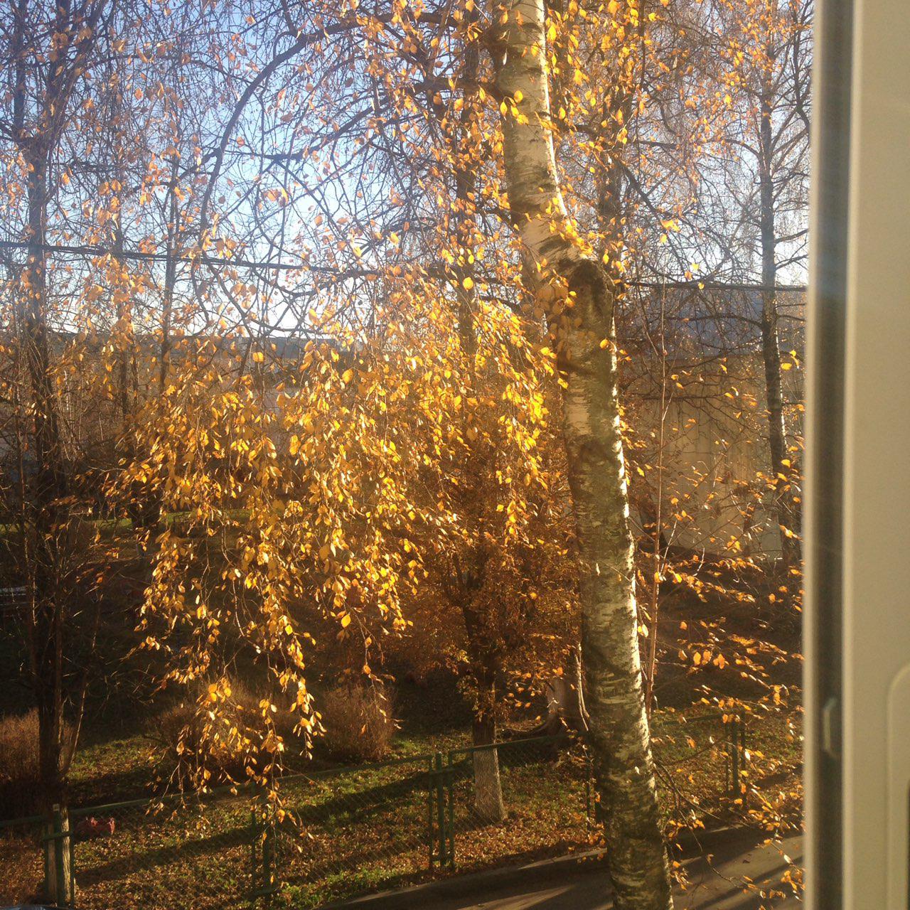 Photo 2018 11 05 14 57 23