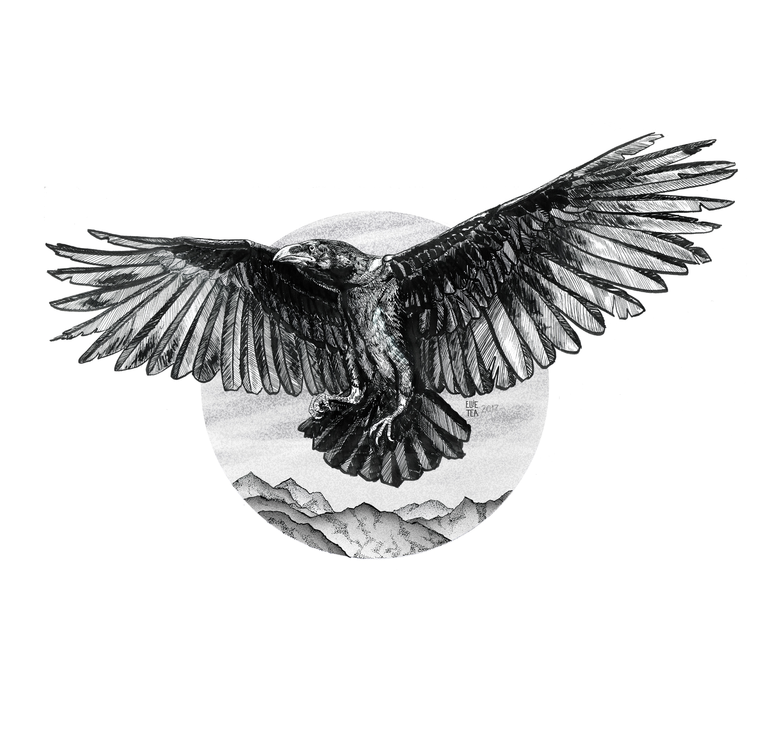 Raven %d0%bb%d1%8e%d1%81%d1%82%d1%80%d0%b0