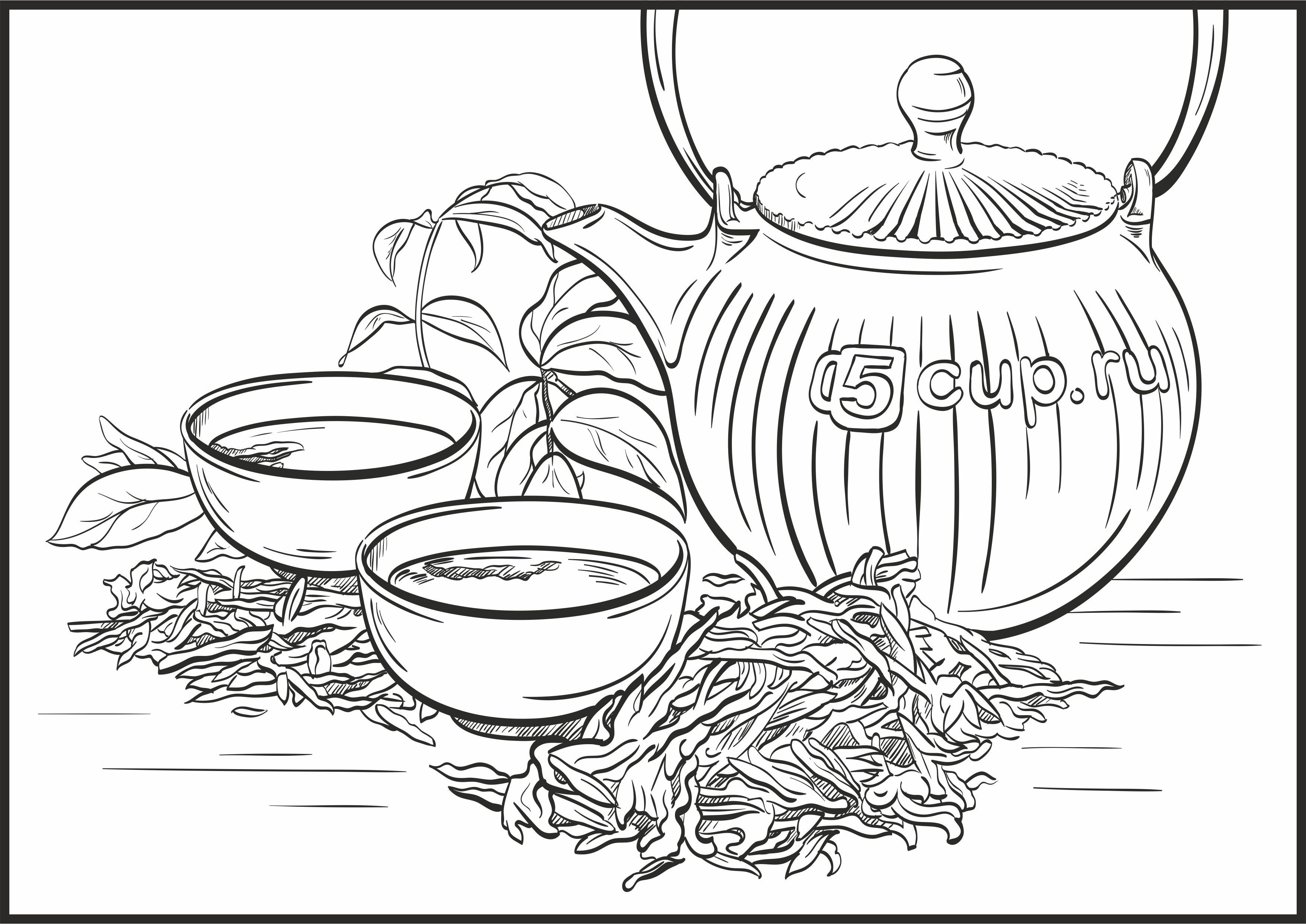 5 cup 03