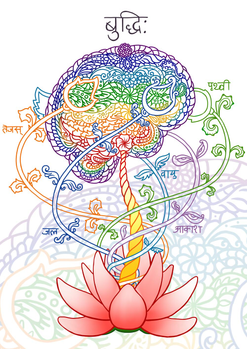Lotus brain