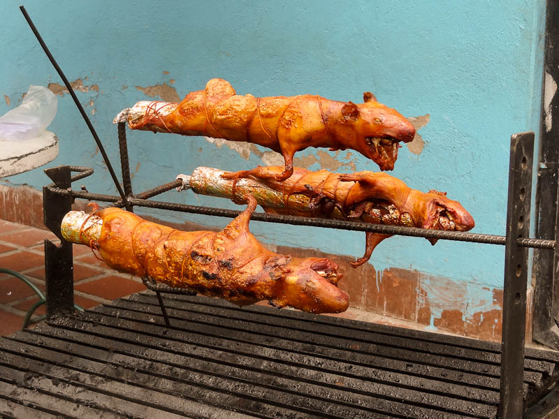 Roasted guinea pigs