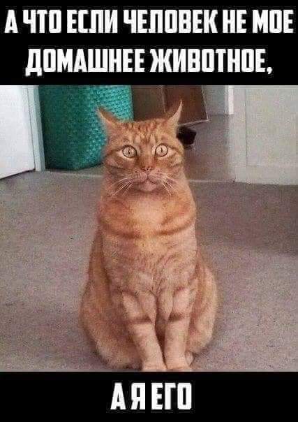 Fb img 1547934431889