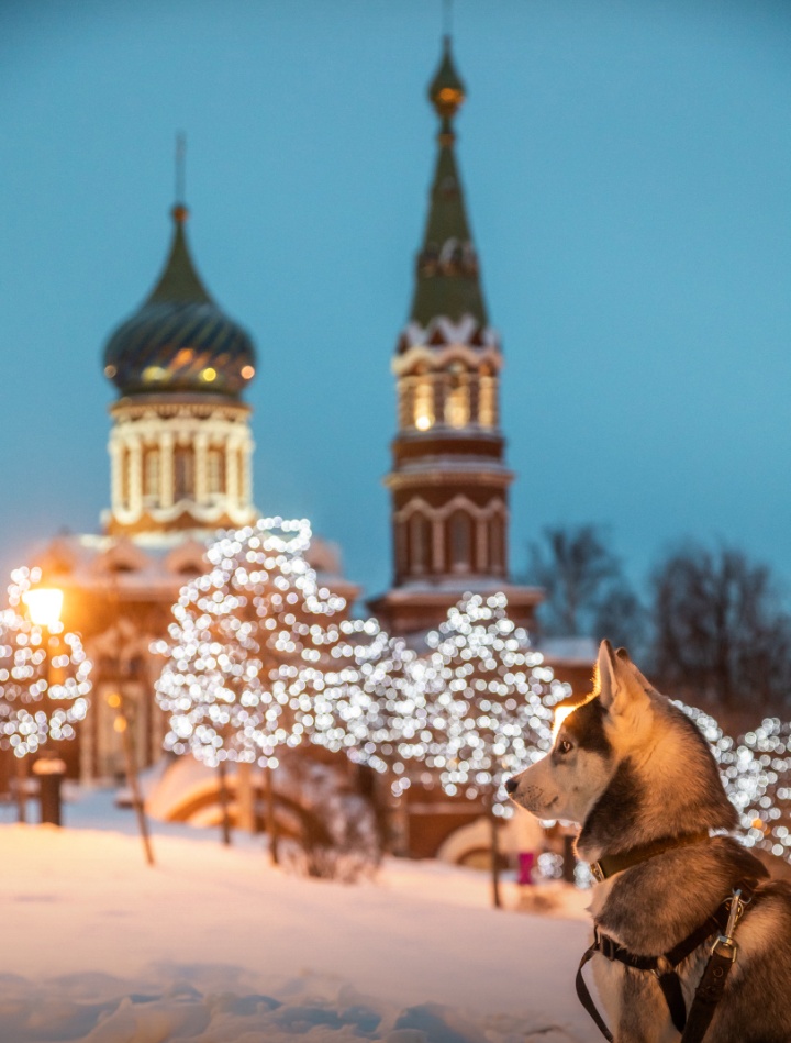 Img 20190121 234707