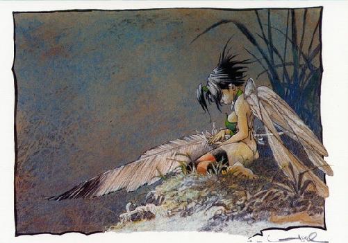 Regis loisel illustration1