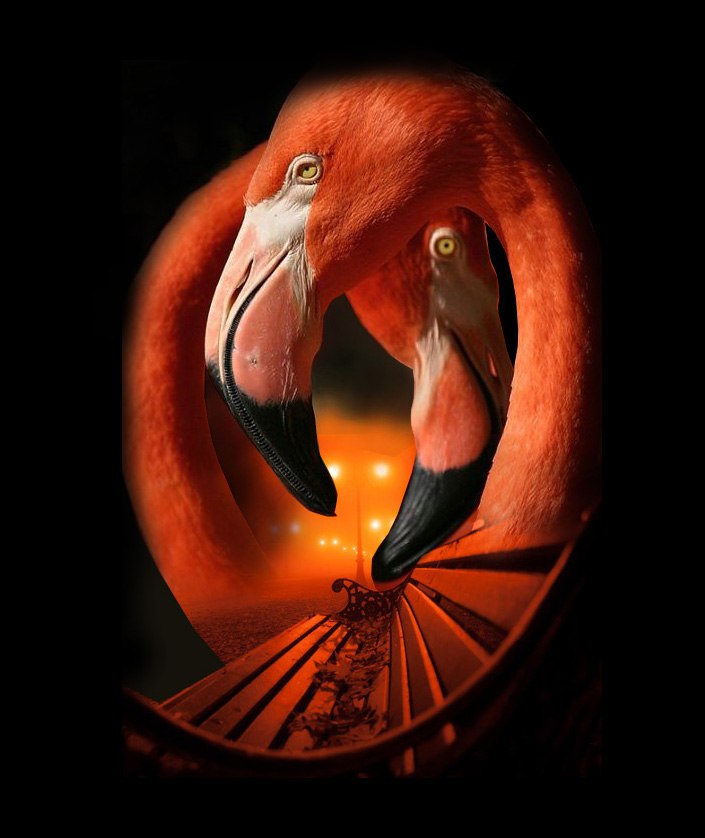 Flam