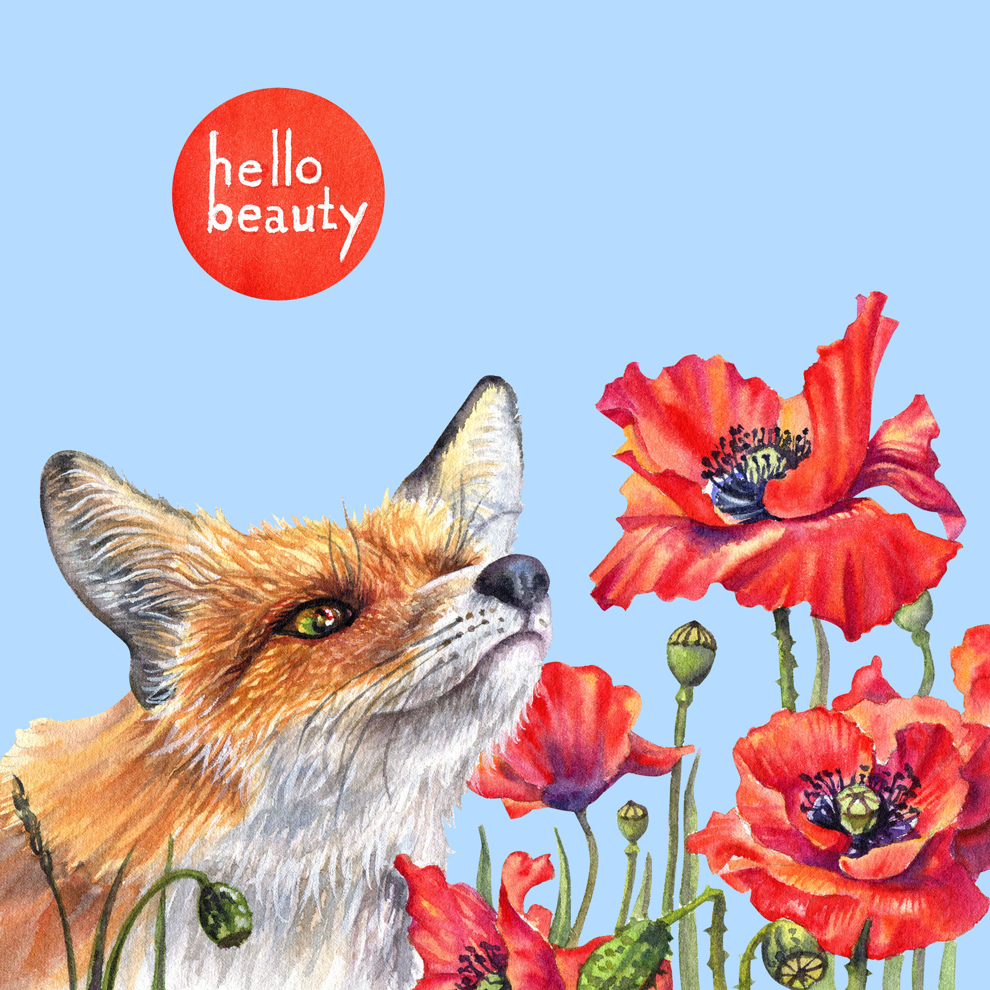 Hello beauty4 square2