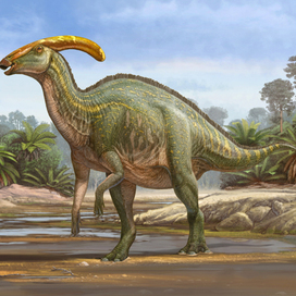 Parasaurolophus tubicen