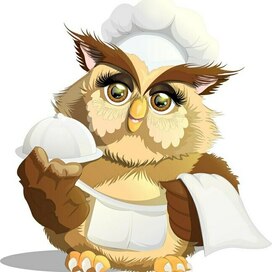 Owl Chef cartoon 