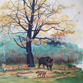 Илл. к рассказам и сказкам о природе В.Зотова (4)