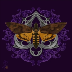 Gothic hawkmoth.