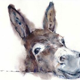 Positive donkey watercolor