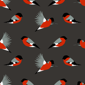 Bullfinches