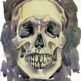 Череп / scull