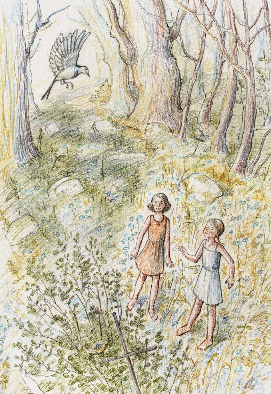 гнездо трясогузки