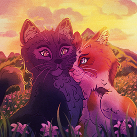 Cats in love
