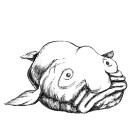 fish drop drawing