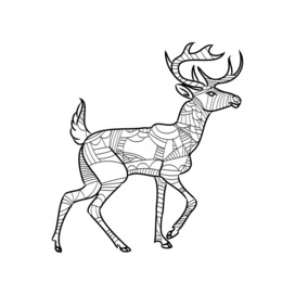 Deer contour on a white background