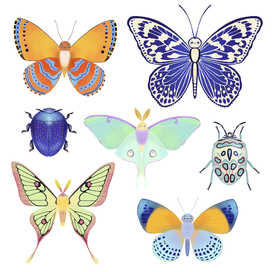 Butterflies stickers