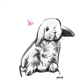 Bunny