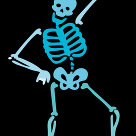 skeleton