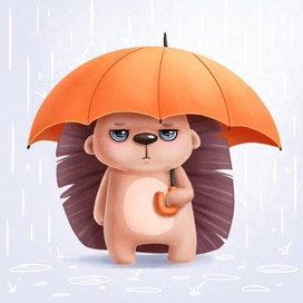 Hedgehog doesn't like the rain