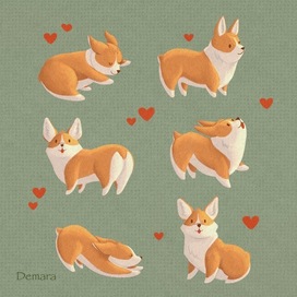 Corgi