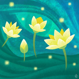 Lotus Flower