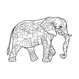 Elephant pattern