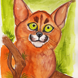 Caracal