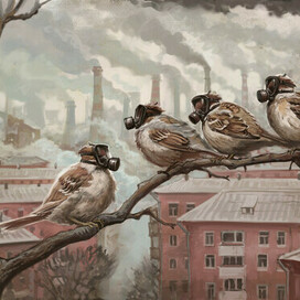 Sparrows