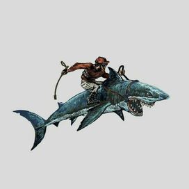 jockey on shark