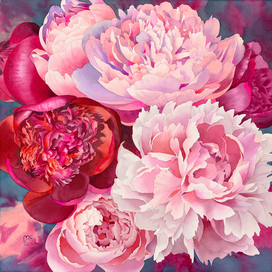 Hundred roses in one flower. Peonies